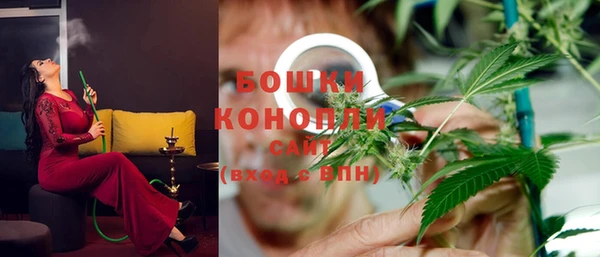 гидра Верея