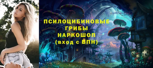 2c-b Верхнеуральск