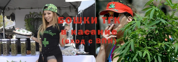 гидра Верея