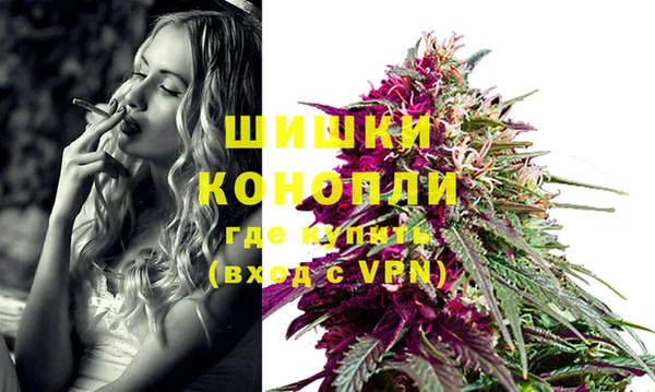 гидра Верея