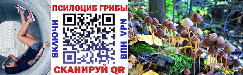 Галлюциногенные грибы ЛСД  купить   Шагонар 